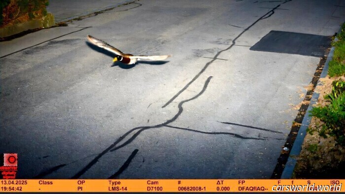 Radar Nabs Recidivist Driving At Double The Speed Limit, But They Don’t Seem to Care | Carscoops